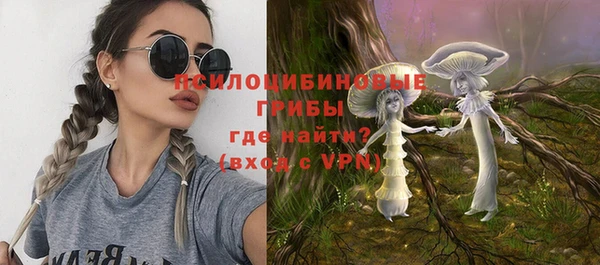 ПСИЛОЦИБИНОВЫЕ ГРИБЫ Баксан