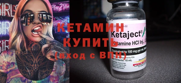 индика Богородицк