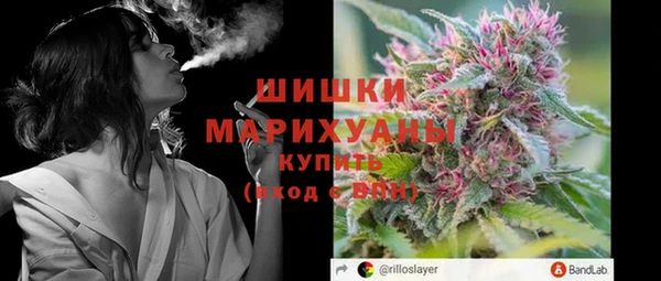ПСИЛОЦИБИНОВЫЕ ГРИБЫ Баксан