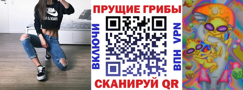 как найти закладки  Колпашево  Галлюциногенные грибы мицелий 